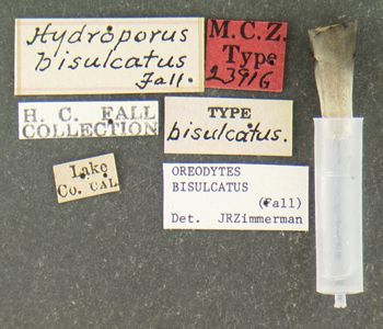 Media type: image;   Entomology 23916 Aspect: labels